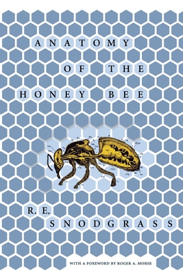 Anatomy of the Honey Bee By R. E. Snodgrass, Roger A. Morse (Foreword by) Cover Image