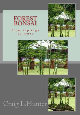 Forest Bonsai: from saplings to trees Cover Image