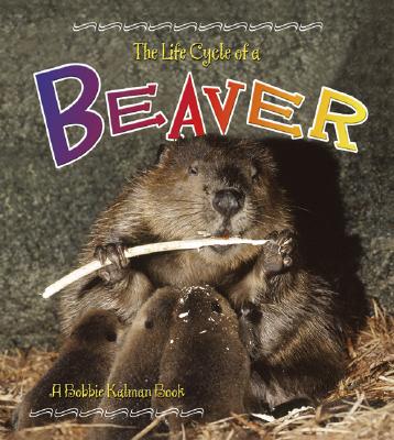 Beaver (Bobbie Kalman Books)
