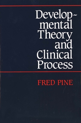 Cover for Developmental Theory and Clinical Process