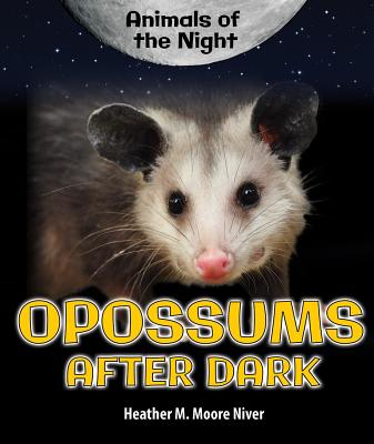 Opossums After Dark (Animals of the Night) By Heather Moore Niver Cover Image