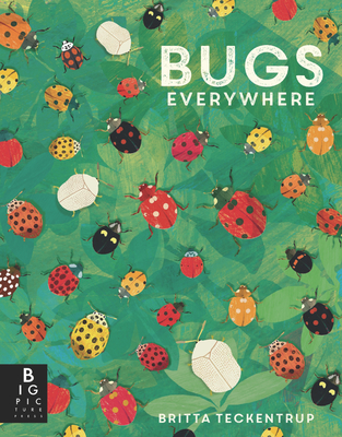 Bugs Everywhere (Animals Everywhere) Cover Image