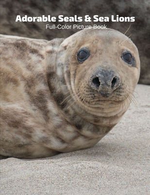 Adorable Seals & Sea Lions Full-Color Picture Book: Seals Picture Book for Children, Seniors and Alzheimer's Patients -Mammals Wildlife Nature