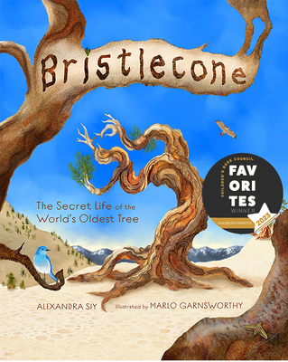 Bristlecone: The Secret Life of the World's Oldest Tree By Alexandra Siy, Marlo Garnsworthy (Illustrator) Cover Image