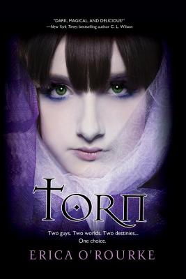 Torn By Erica O'Rourke Cover Image