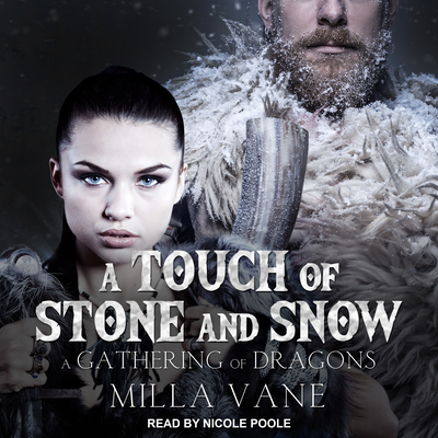 A Touch of Stone and Snow Cover Image