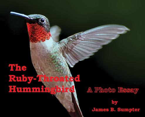 The Ruby-throated Hummingbird: A photo essay