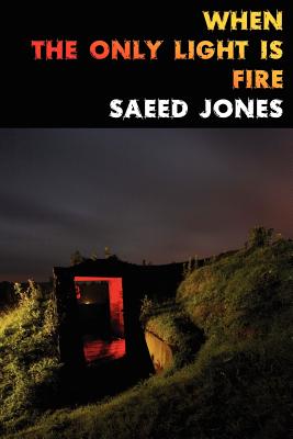 When the Only Light Is Fire By Saeed Jones Cover Image