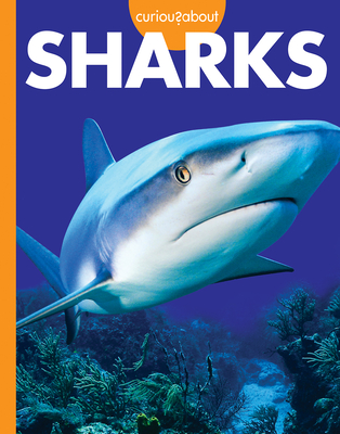 Curious about Sharks (Curious about Wild Animals) By Amy S. Hansen Cover Image