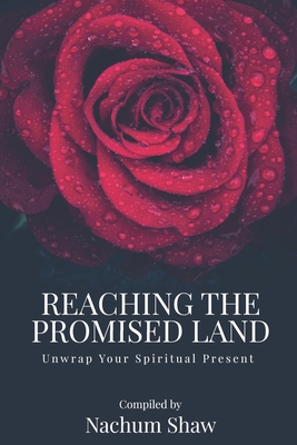 Cover for Reaching the Promised Land