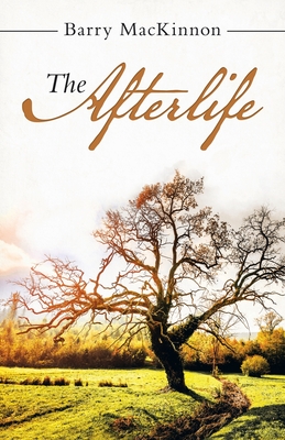 The Afterlife By Barry MacKinnon Cover Image