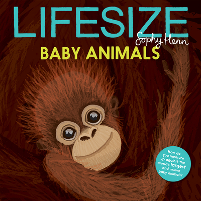 Lifesize Baby Animals By Sophy Henn Cover Image