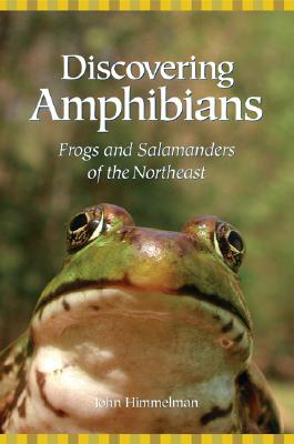 Discovering Amphibians: Frogs and Salamanders of the Northeast Cover Image