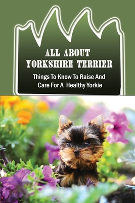 how to potty train a yorkshire terrier pets