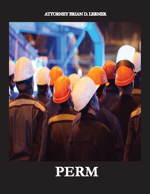 Perm: Electronic Labor Certifications for Employment Petitions Cover Image