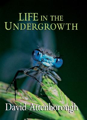 Life in the Undergrowth Cover Image