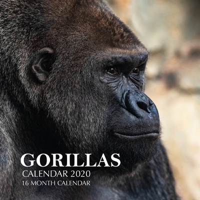 Gorillas Calendar 2020: 16 Month Calendar