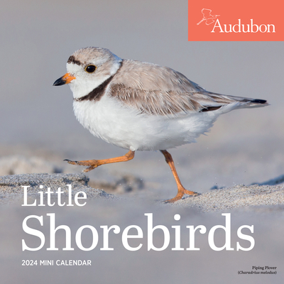 Audubon Little Shorebirds Mini Wall Calendar 2024: A Tribute to the Diversity of Shorebirds and the Fragile Ecosystems they Inhabit By Workman Calendars, National Audubon Society Cover Image