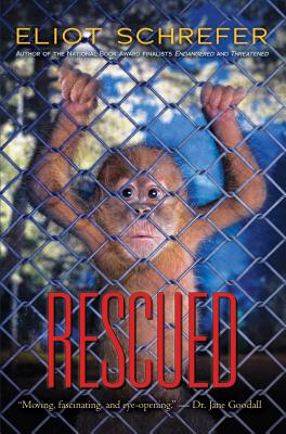 Rescued (Ape Quartet #3) By Eliot Schrefer Cover Image