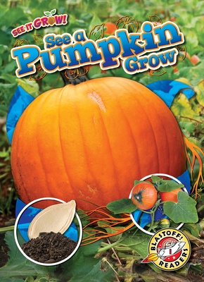 See a Pumpkin Grow By Kirsten Chang Cover Image