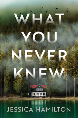 What You Never Knew: A Novel By Jessica Hamilton Cover Image
