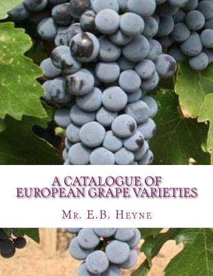 A Catalogue of European Grape Varieties: European Vines With Their Synonyms and Brief Descriptions By Roger Chambers (Introduction by), E. B. Heyne Cover Image