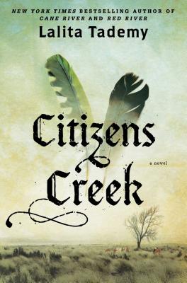 Cover Image for Citizens Creek: A Novel