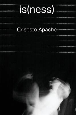 is(ness) By Crisosto Apache Cover Image