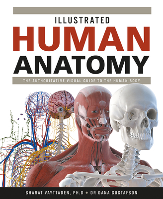 Illustrated Human Anatomy: The Authoritative Visual Guide to the Human Body Cover Image