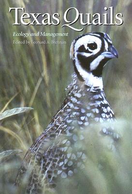 Texas Quails: Ecology and Management (Perspectives on South Texas, sponsored by Texas A&M University-Kingsville)