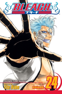 BLEACH Manga Volume 65