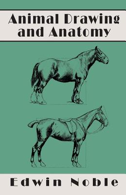 Animal Drawing and Anatomy Cover Image