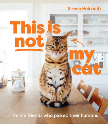 This Is Not My Cat: Feline Friends Who Picked Their Humans By Stevie Holcomb Cover Image