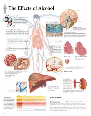 The Effects of Alcohol Chart: Wall Chart Cover Image