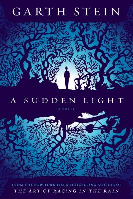 Cover for A Sudden Light
