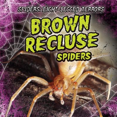 Brown Recluse Spiders Spiders Eight Legged Terrors Library