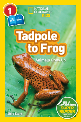 National Geographic Readers: Tadpole to Frog (L1/Co-reader) Cover Image