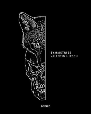 Valentin Hirsch: Symmetries By Valentin Hirsch Cover Image