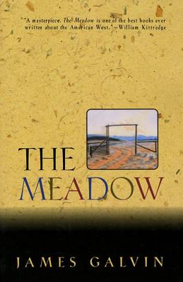 The Meadow By James Galvin Cover Image