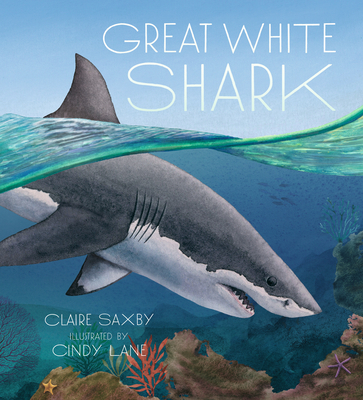 Great White Shark By Claire Saxby, Cindy Lane (Illustrator) Cover Image