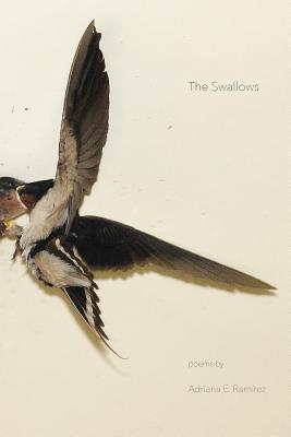 The Swallows By Adriana E. Ramirez Cover Image
