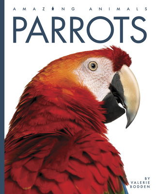 Parrots (Amazing Animals)