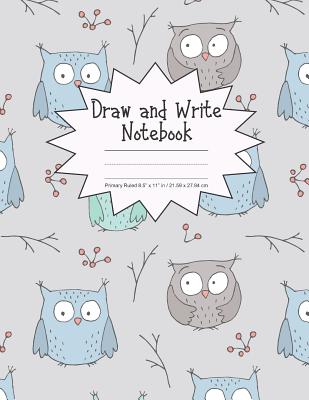 Draw and Write Notebook Primary Ruled 8.5 x 11 in / 21.59 x 27.94 cm: Children's Composition Book, Blue, Brown and Green Owls Birds Cover, P853 Cover Image