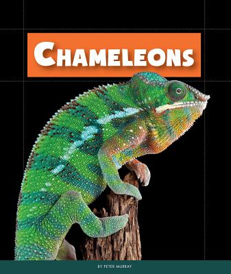 Chameleons (Animals of the Rain Forest) (Library Binding) | Hooked