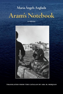 Aram's Notebook Cover Image