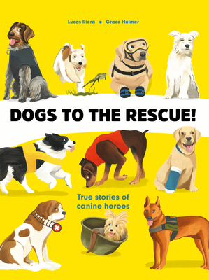 Dogs to the Rescue By Lucas Riera, Grace Helmer (Illustrator) Cover Image