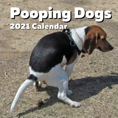 Pooping Dogs 2021 Calendar: Funny Pooches Nature Calls Wall Planner - For Dog Lovers, Joke, Gag, White Elephant, Secret Santa, Birthday, Stocking (Paperback) | Murder By The Book