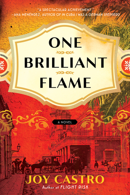 Cover for One Brilliant Flame