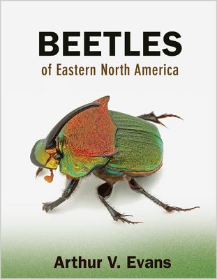 Beetles of Eastern North America Cover Image