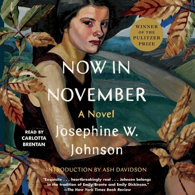 Now in November By Josephine Johnson, Carlotta Brentan (Read by) Cover Image
